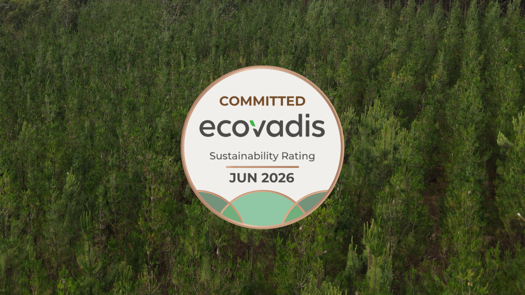 Selo EcoVadis